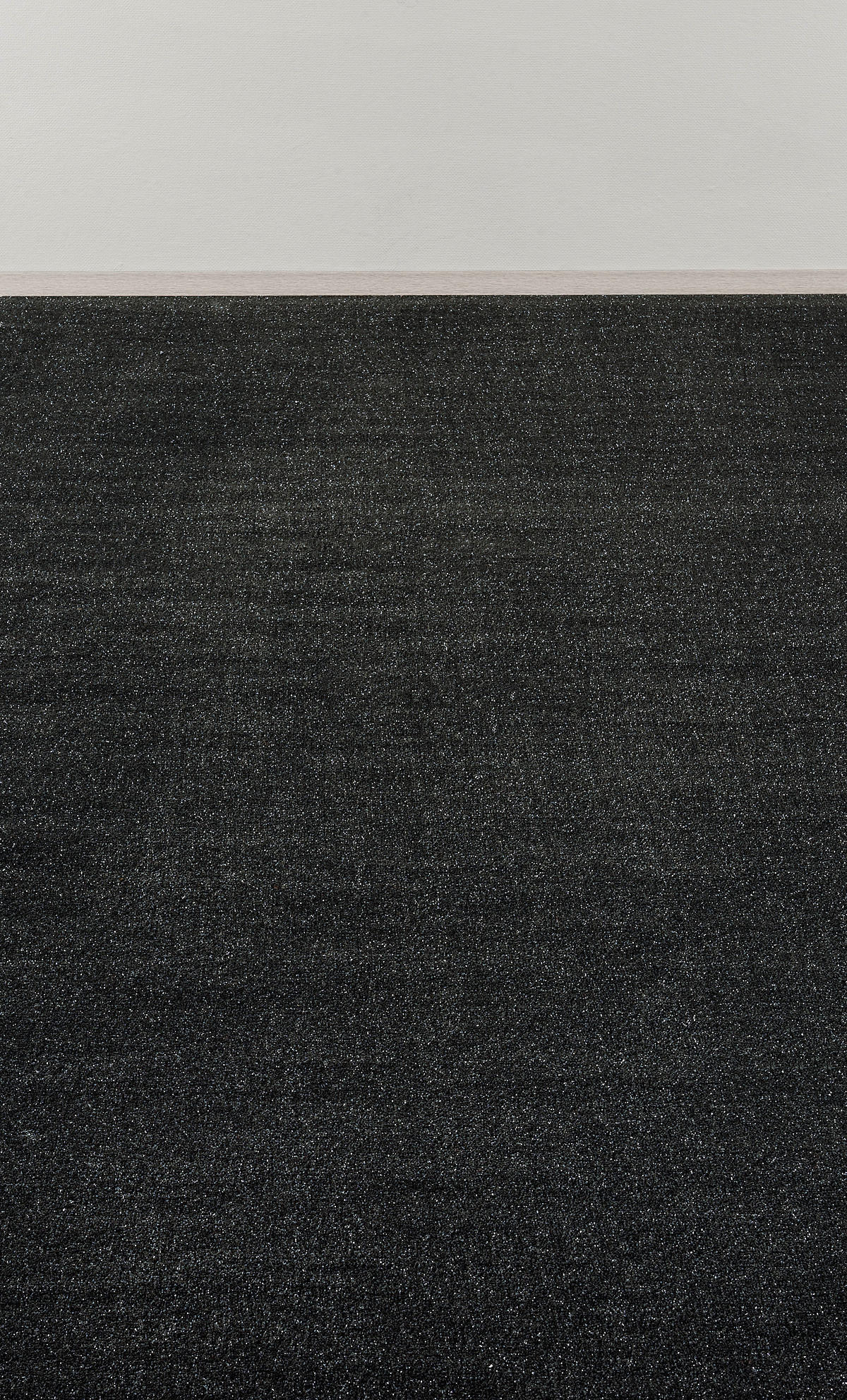 Teppichboden Harrow Flash schwarz B: ca. 500 cm pro m² Harrow Flash - schwarz (500,00cm)