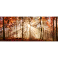 Keilrahmenbild Herbstwald B/L: ca. 140x60 cm Keilrahmenbild 60x140cm - (140,00/60,00cm)