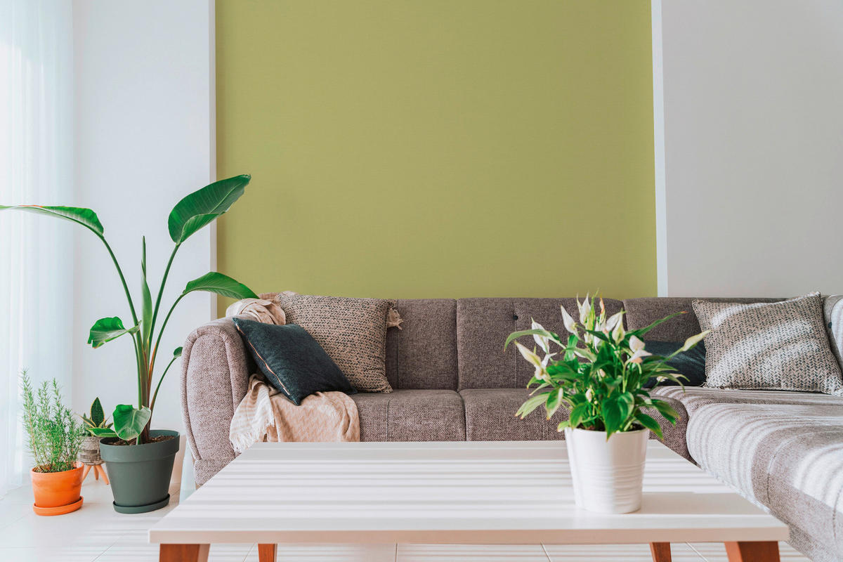 A.S.Creation Vliestapete grün B/H/D: ca. 53x1005x8,3 cm Vliestapete - grün (8,30/1005,00cm) - A.S.Creation