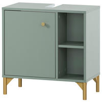 Waschbeckenunterschrank Ando Pistazie B/H/T: ca. 60,2x60,3x33,05 cm Ando - Pistazie (60,20/60,30/33,05cm) - Möbelpartner