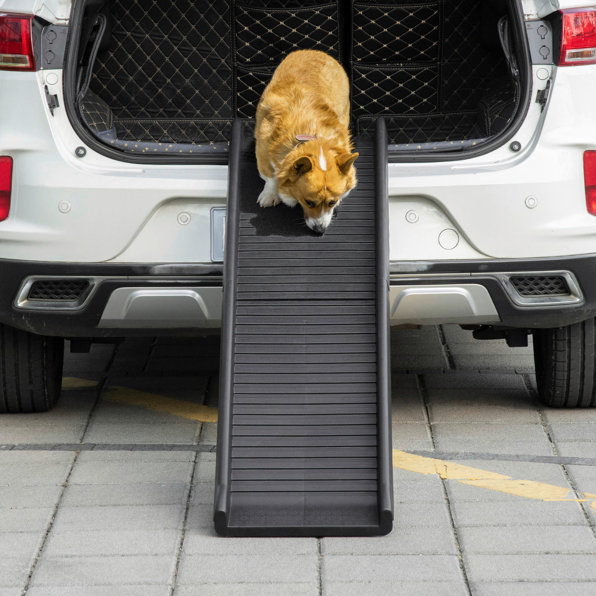 PawHut Hunde-Zubehör schwarz Edelstahl B/H/L: ca. 39x155x14 cm Hunderampe - schwarz (14,00/39,00/155,00cm) - PawHut