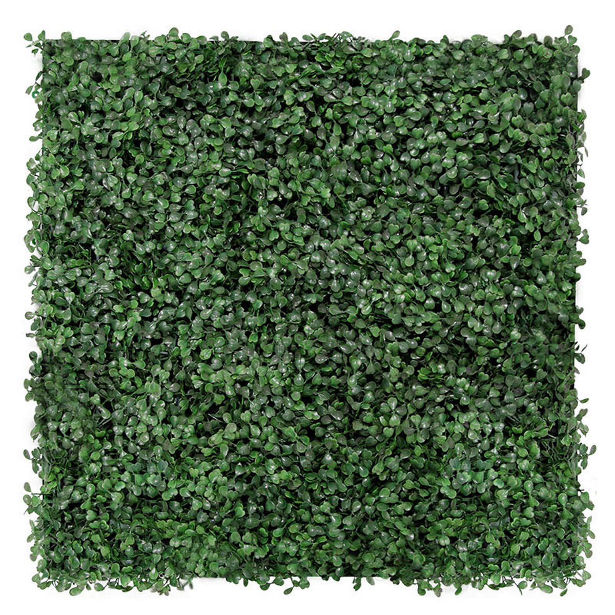 Wand-und Akustikpaneel dunkelgrün L/B/H: ca. 52x52x0,22 cm pro Stück Wandpaneel 52x52 Buchsbaum - dunkelgrün (52,00/52,00/0,22cm)