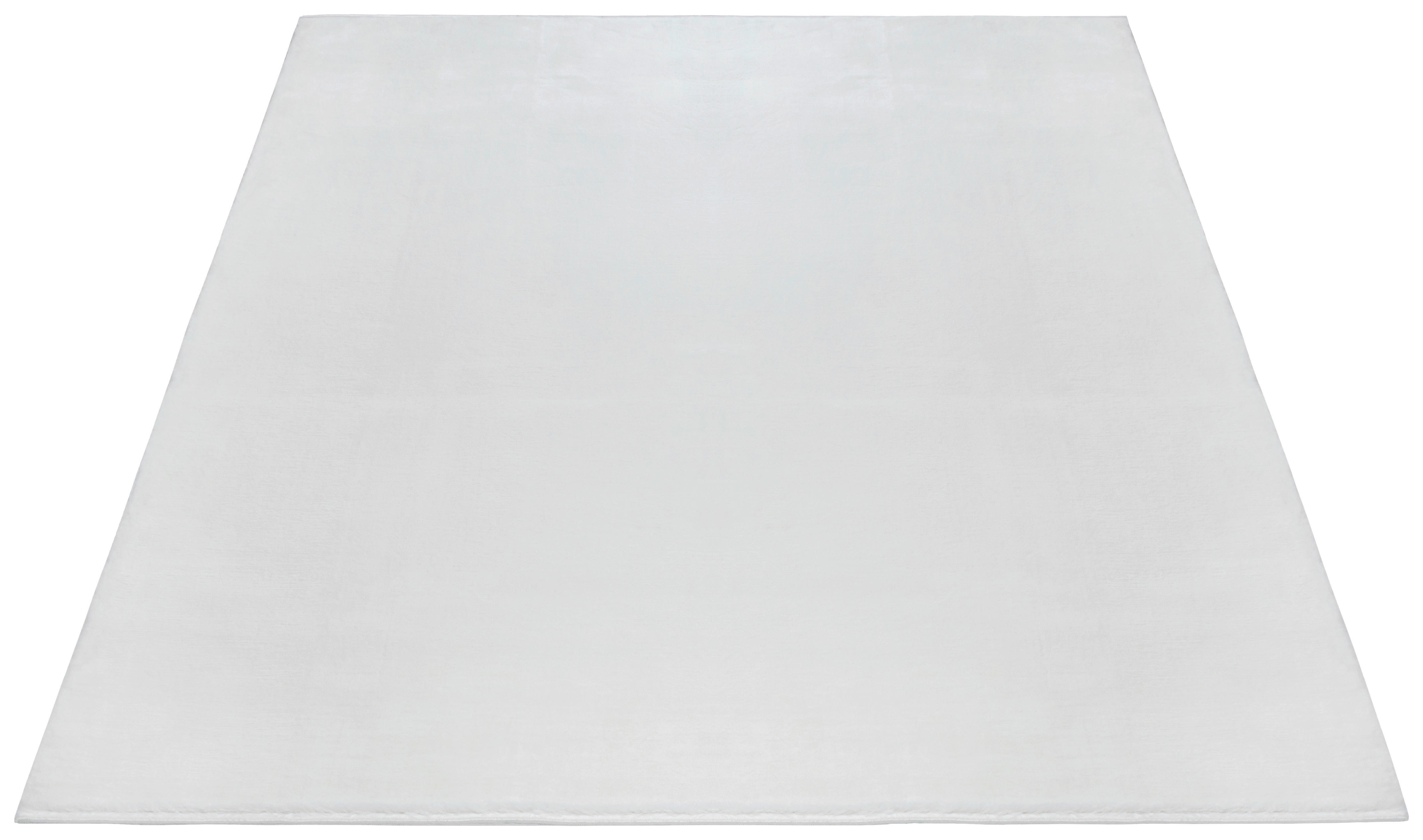 Dinarsu Teppich Maximo creme B/L: ca. 160x230 cm Maximo - creme (160,00/230,00cm) - Dinarsu