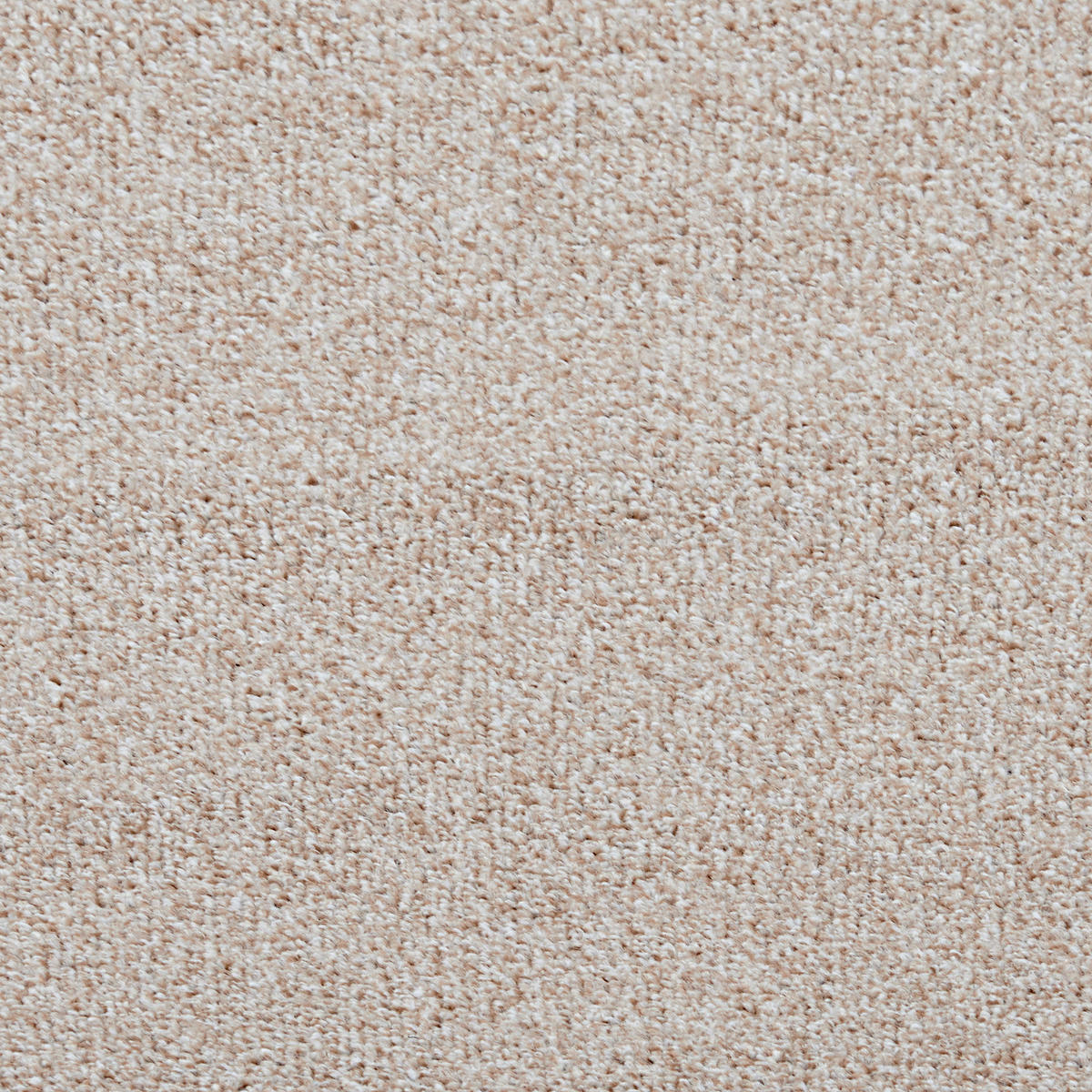 Teppichboden Winchester beige B: ca. 400 cm pro m² Winchester - beige (400,00cm)