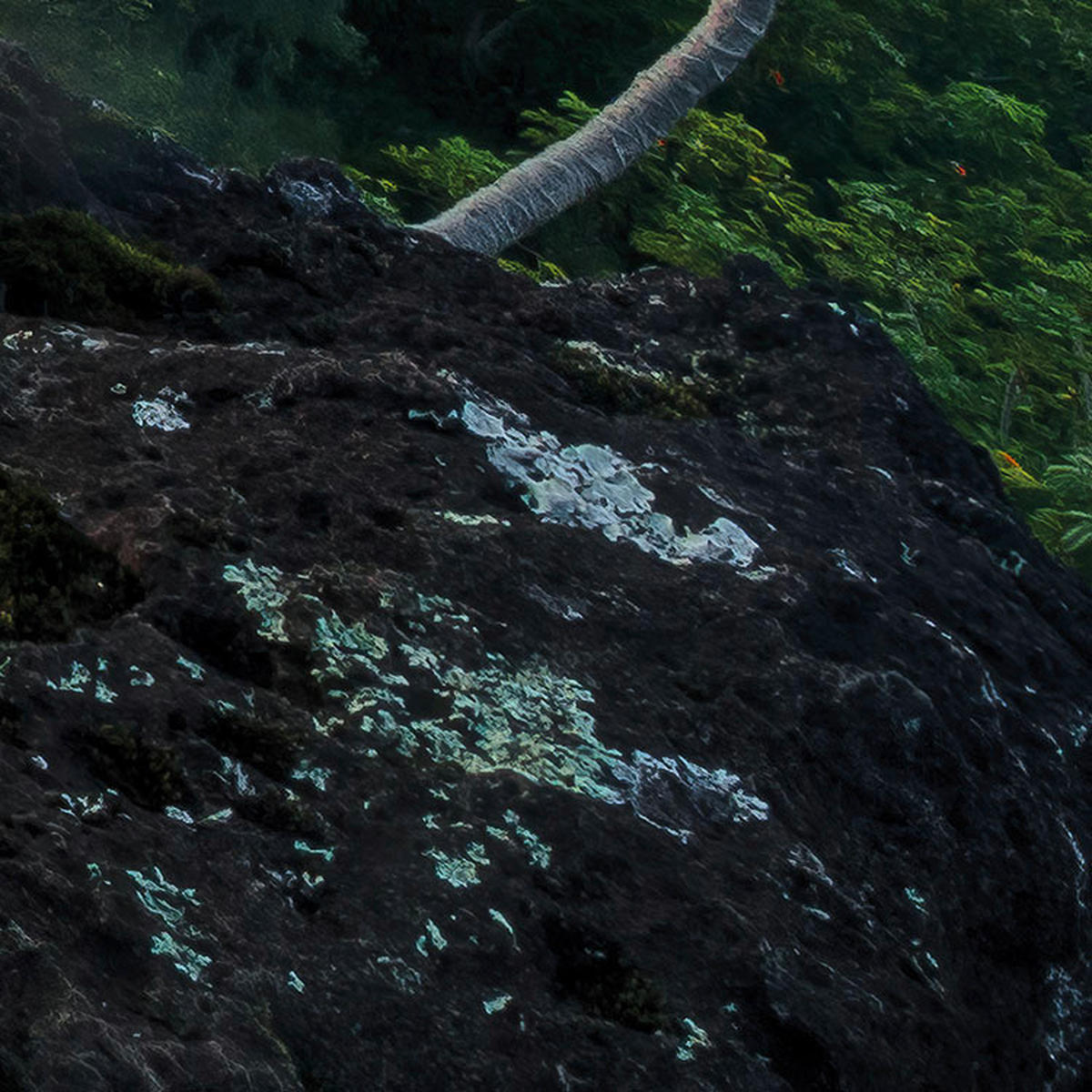 Komar Fototapete Jurassic Island B/L: ca. 450x280 cm Jurassic Island - (450,00/280,00cm) - Komar
