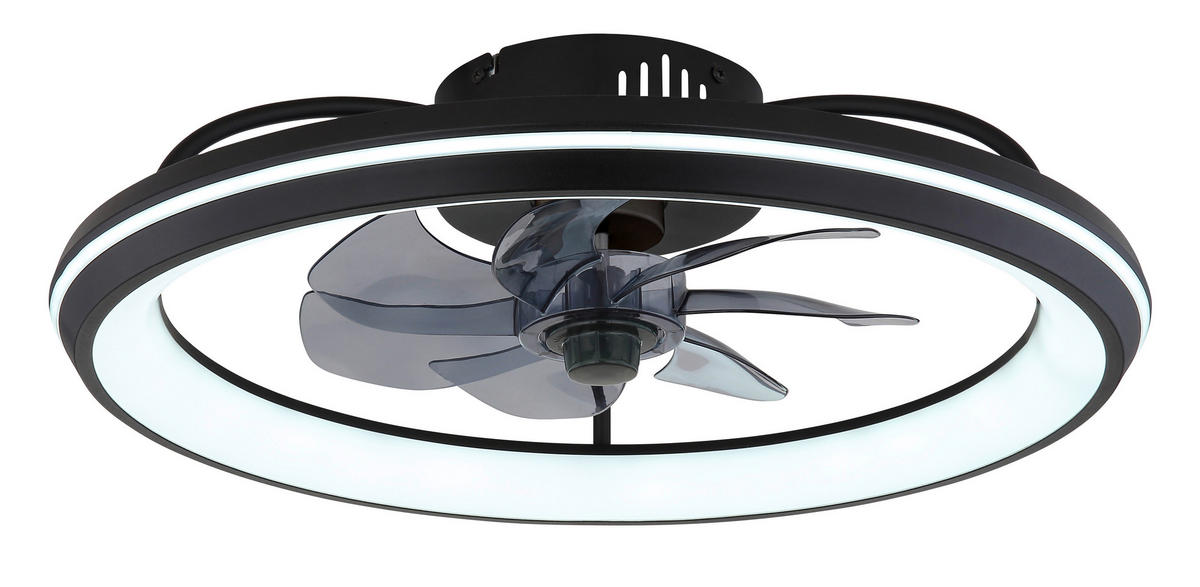 GLOBO Deckenventilator Rauch schwarz Opal H/D: ca. 14x50 cm max. 40 W CELESTE - schwarz/Opal (50,00/14,00cm) - GLOBO