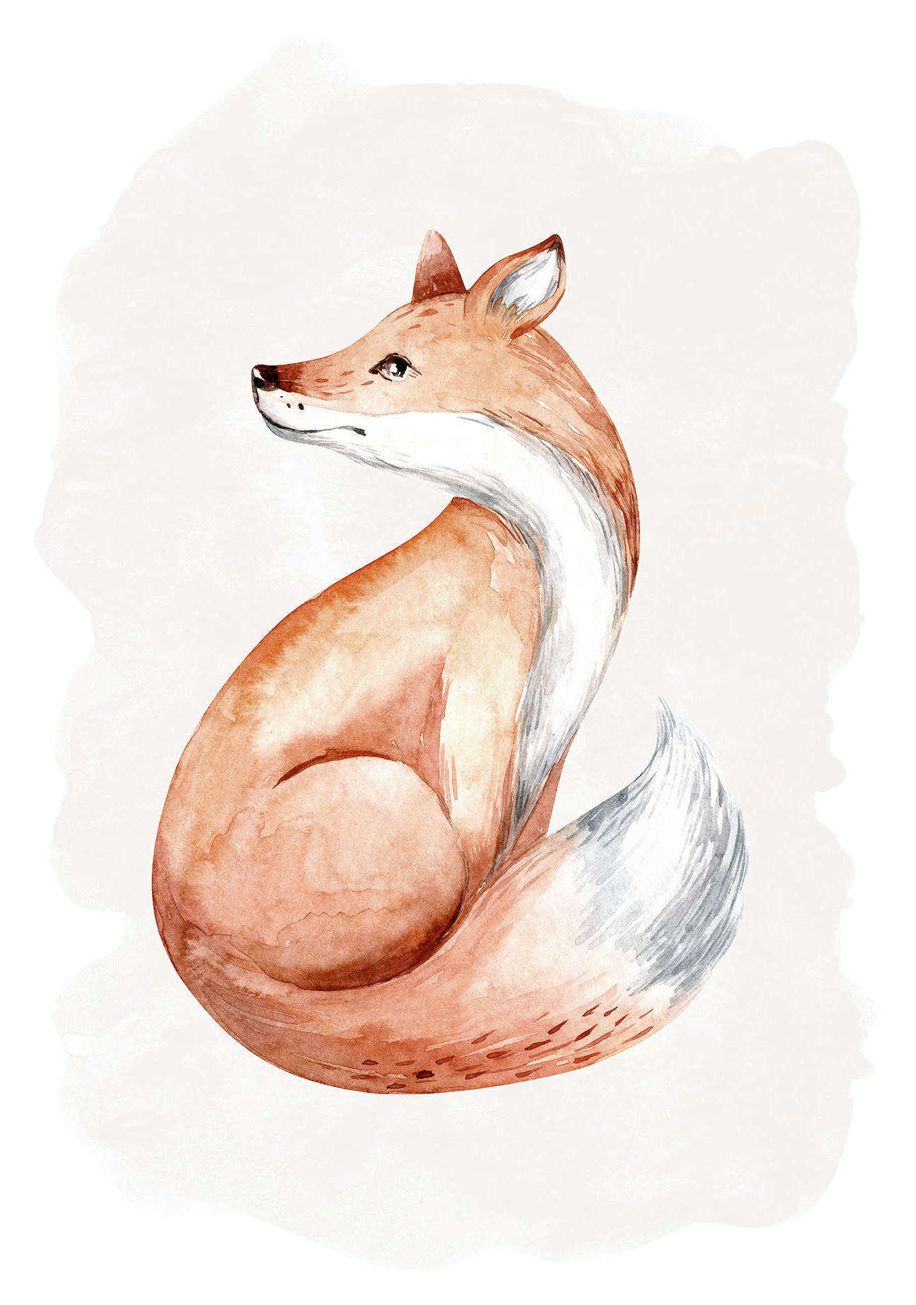 Komar Wandbild Curious Fox Tiere B/L: ca. 50x70 cm