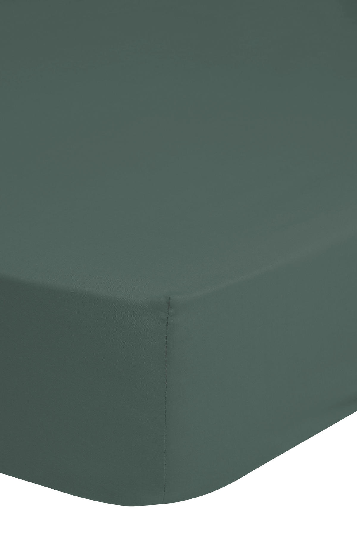Baumwoll Spannbetttuch Spannbetttuch-Baumwolle 140x200cm - grün (140,00/200,00cm) - Good Morning