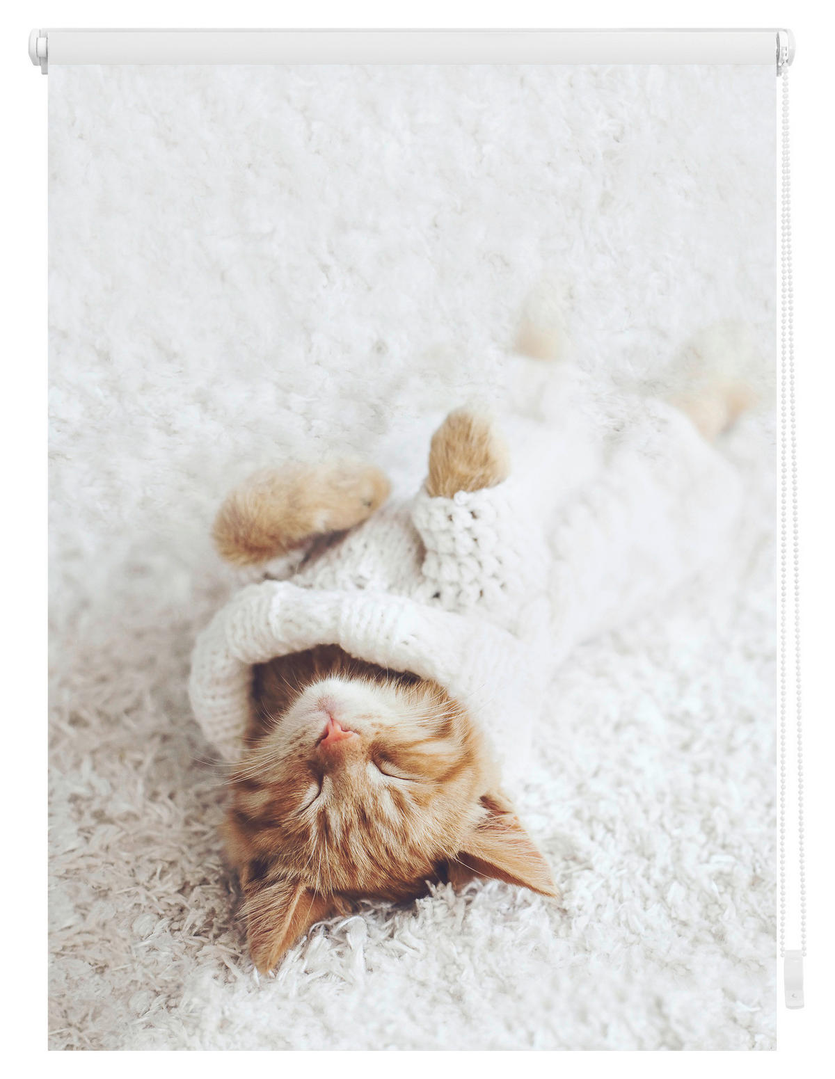 Verdunkelungsrollo Sleepy Cat weiß B/L: ca. 70x150 cm Sleepy Cat - weiß (70,00/150,00cm) - LICHTBLICK