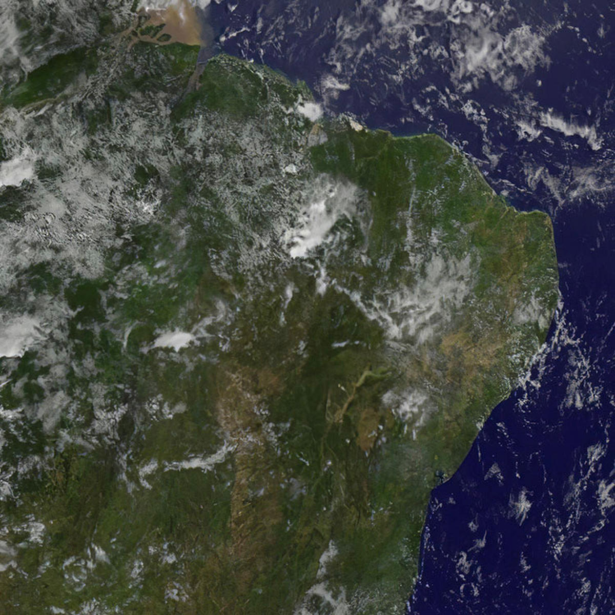Komar Fototapete Earth D: ca. 125 cm Earth - (125,00cm) - Komar