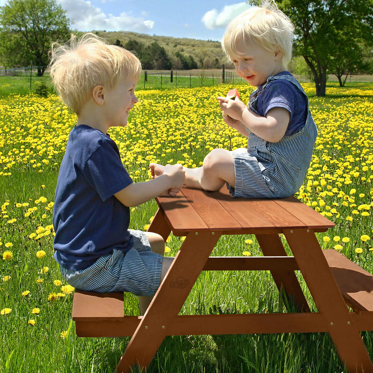 Sunny Kinder-Picknicktisch Dave rotbraun B/H/L: ca. 89x50x89 cm Dave - rotbraun (89,00/89,00/50,00cm) - Sunny