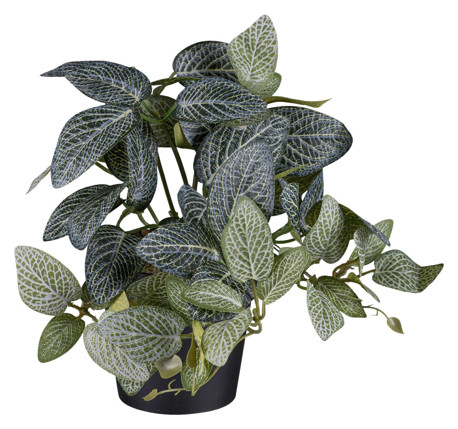 Kunstpflanze Caladium/Coleus/Fittonia