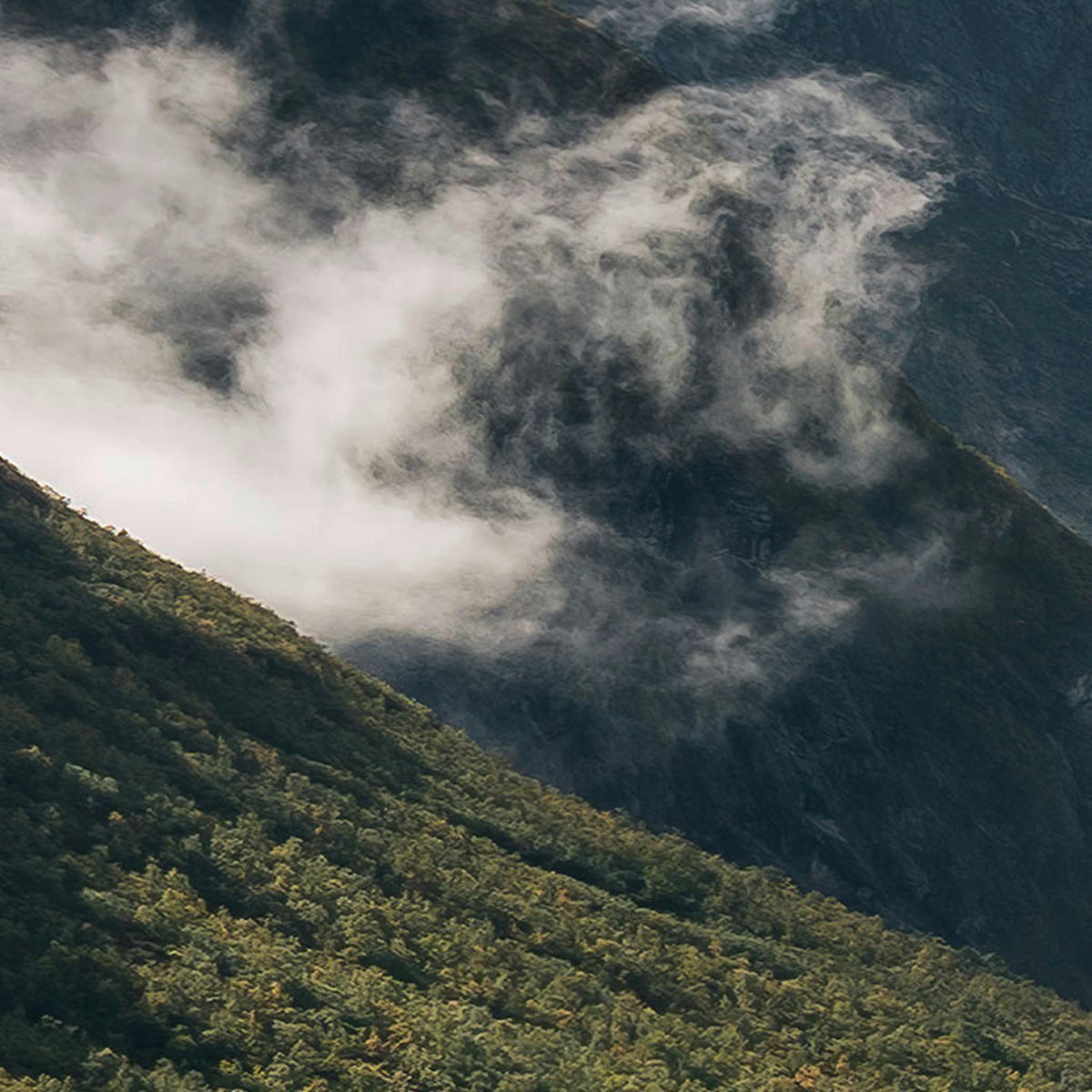 Komar Fototapete Pure Norway B/L: ca. 450x280 cm Pure Norway - (450,00/280,00cm) - Komar