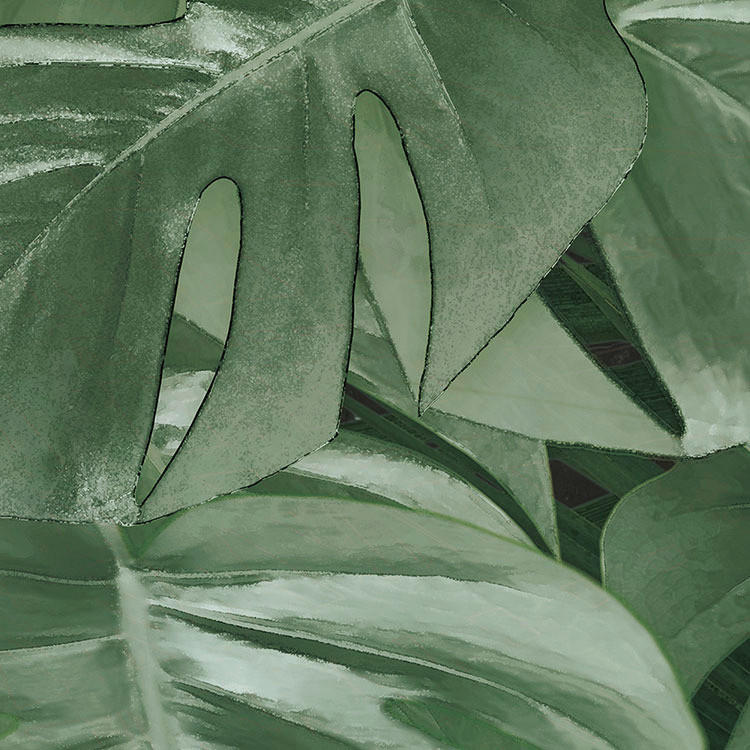 Komar Fototapete Novel Monstera D: ca. 125 cm Novel Monstera - (125,00cm) - Komar