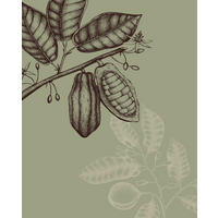 Komar Poster Wild Cocoa Pflanzen B/L: ca. 40x50 cm Wild Cocoa - (40,00/50,00cm) - Komar