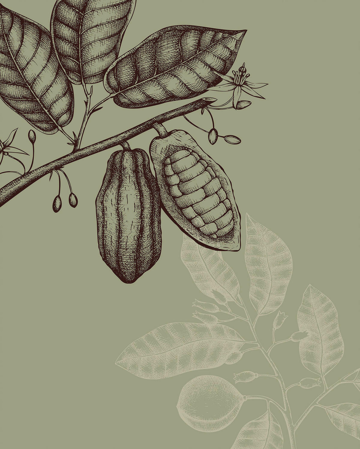 Komar Poster Wild Cocoa Pflanzen B/L: ca. 40x50 cm Wild Cocoa - (40,00/50,00cm) - Komar