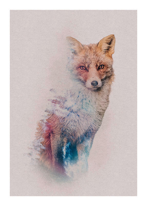 Komar Poster Animals Forest Fox Waldtiere B/L: ca. 50x70 cm Animals Forest Fox - (50,00/70,00cm) - Komar