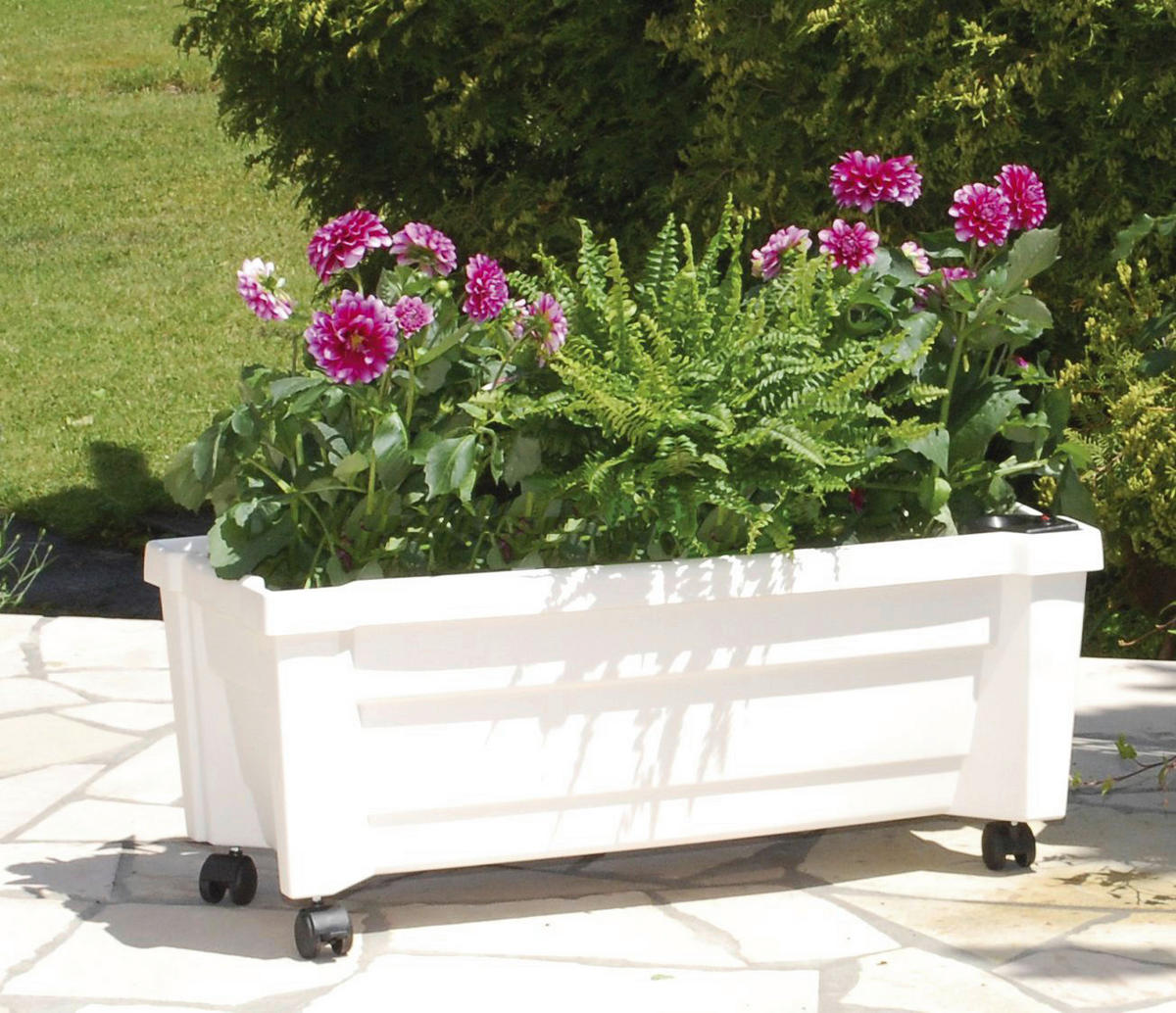 KHW Pflanzkasten mit Rollen Calypso weiß Kunststoff B/H/T: ca. 79x33x35 cm Calypso - weiß (79,00/33,00/35,00cm) - KHW
