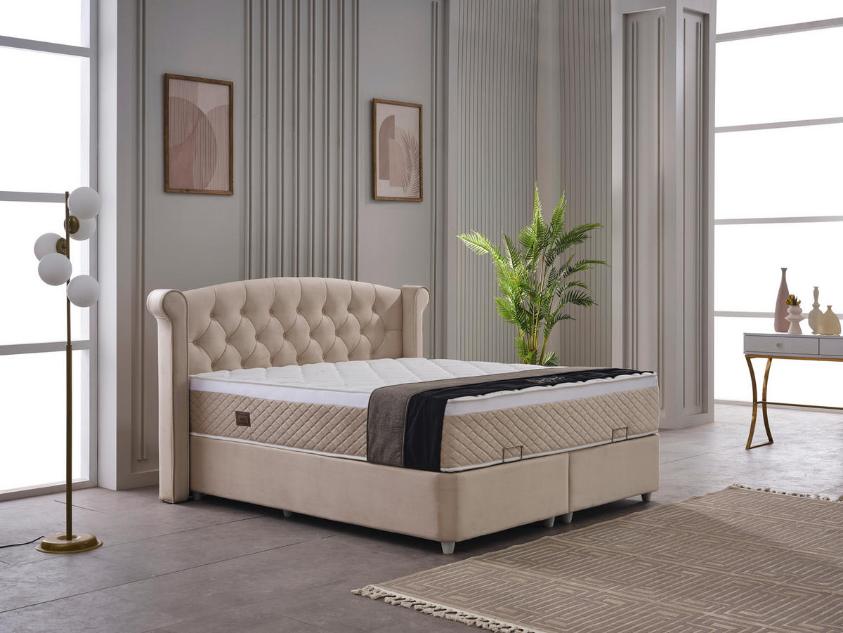 Polsterbett Marven creme Marven - creme (210,00/130,00/208,00cm)