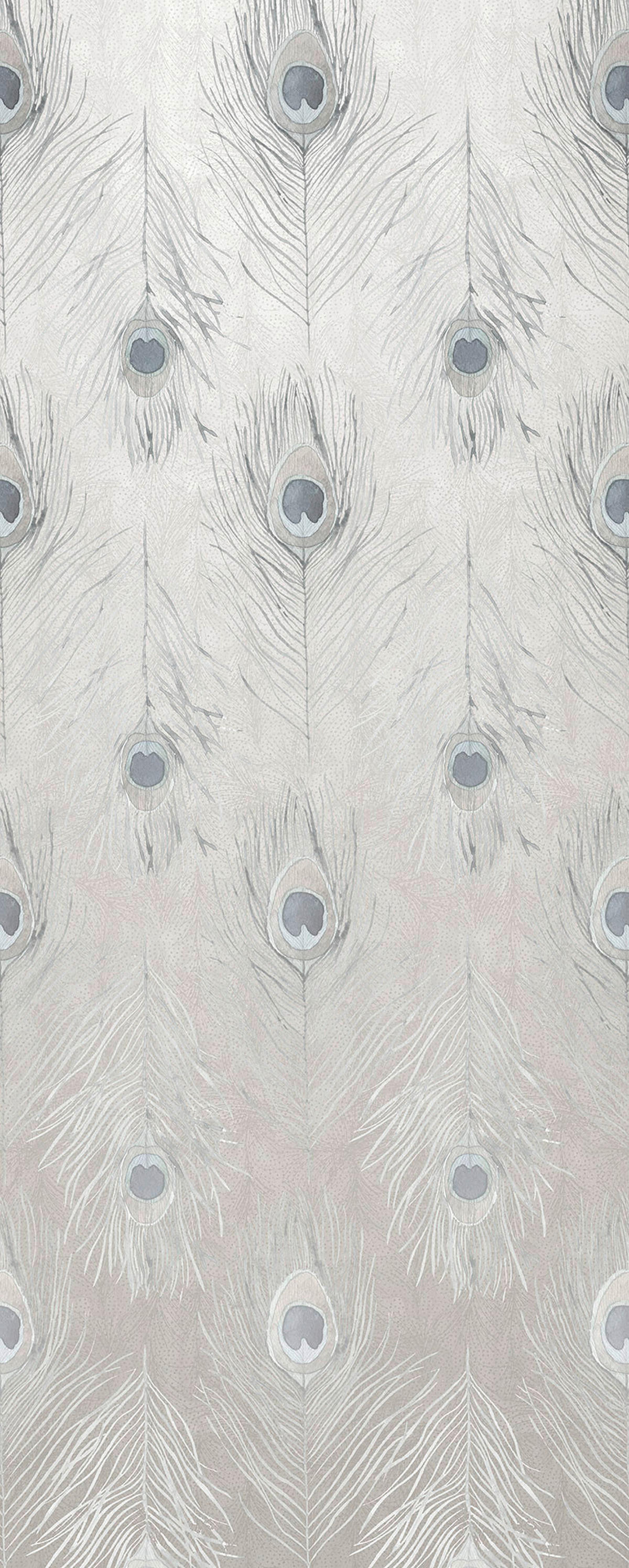 Komar Fototapete Pfauenfedern B/L: ca. 100x250 cm Pfauenfedern - (100,00/250,00cm) - Komar