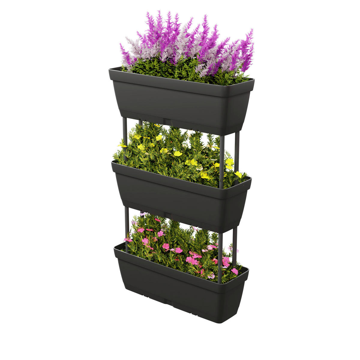 Lolego Veg Pflanzständer dunkelgrau Polypropylen B/H/L: ca. 17x32x50 cm Pflanzständer_3-stufig vertikal - dunkelgrau (50,00/17,00/32,00cm) - Lolego Veg
