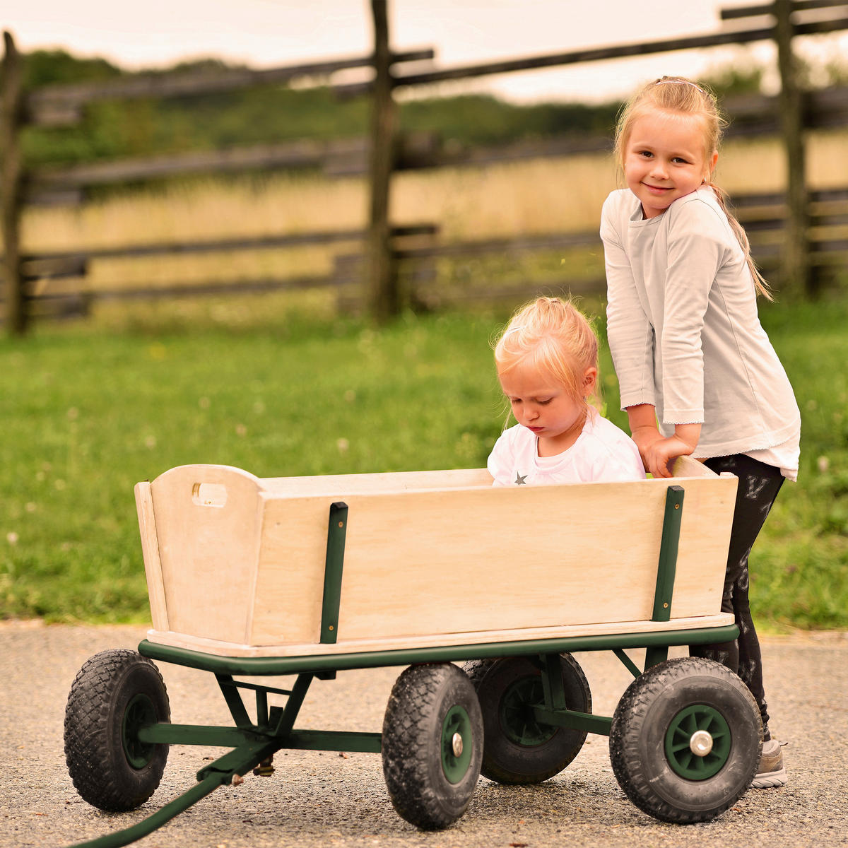 Sunny Bollerwagen Billy Beach grün B/H/L: ca. 61x97x95 cm Billy Beach - natur/grün (95,00/61,00/97,00cm) - Sunny