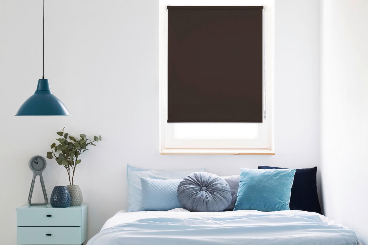 Tageslichtrollo zum klemmen braun B/L: ca. 60x160 cm Rollo_Tageslicht_Klemmfix_Win - braun (60,00/160,00cm)