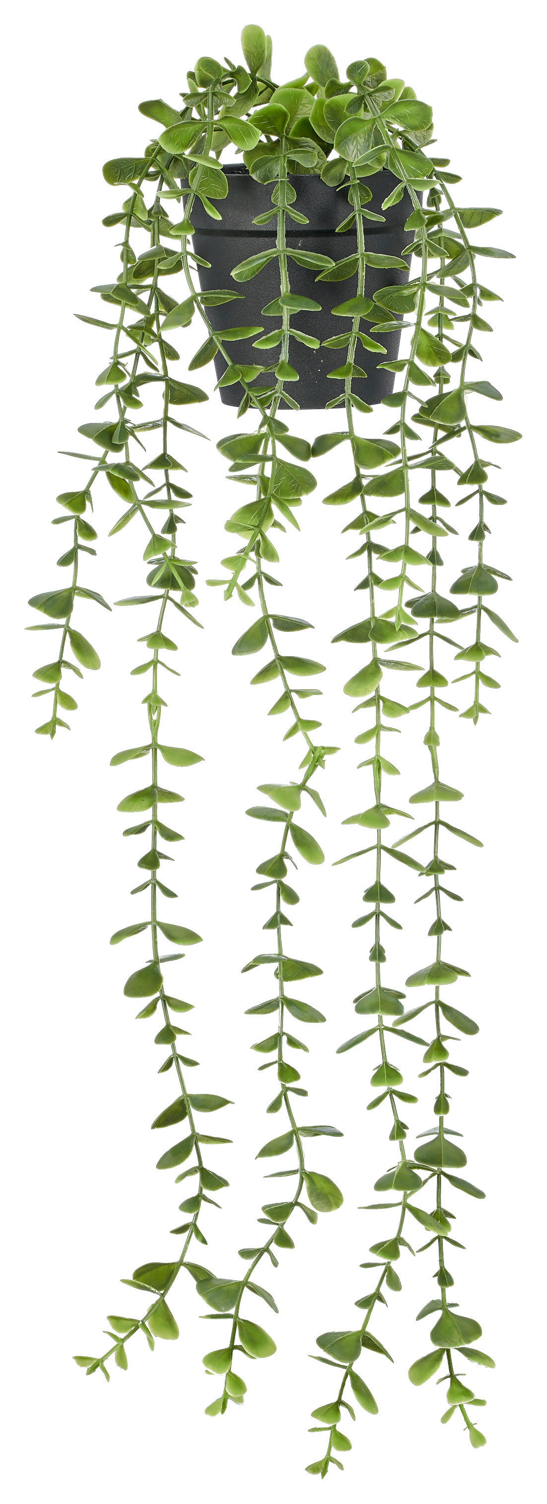 Kunstpflanze grün Kunststoff B/H/L: ca. 10x10x50 cm Eukalyptushänger - grün (50,00/10,00/10,00cm)