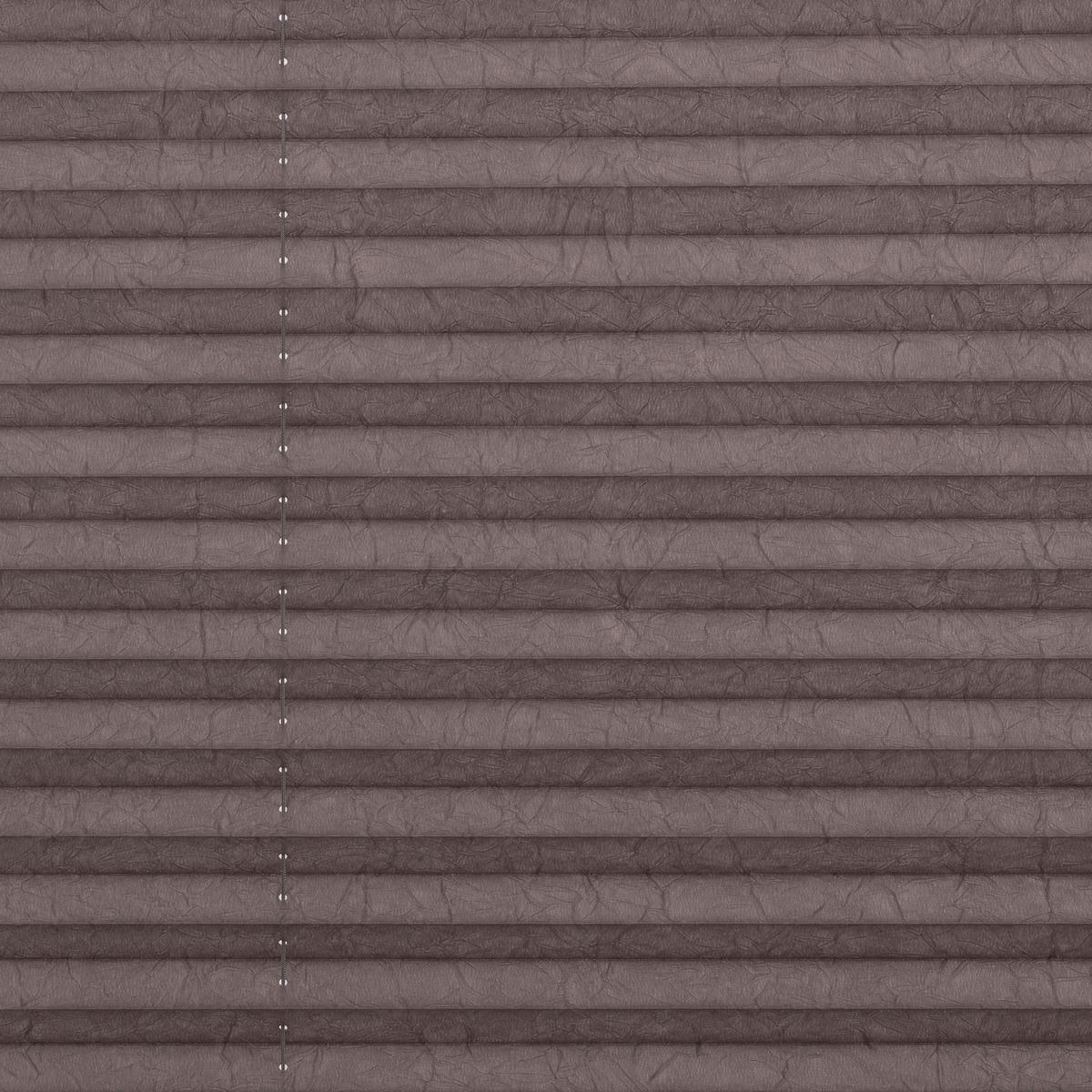 Spannplissee taupe B/L: ca. 110x130 cm Plissee_Klemmfix - taupe (110,00/130,00cm) - LICHTBLICK