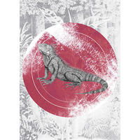 Komar Poster Iguana Circle Tiere B/L: ca. 50x70 cm Iguana Circle - (50,00/70,00cm) - Komar