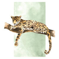 Komar Poster Lazy Leopard Leopard B/L: ca. 30x40 cm Lazy Leopard - (30,00/40,00cm) - Komar