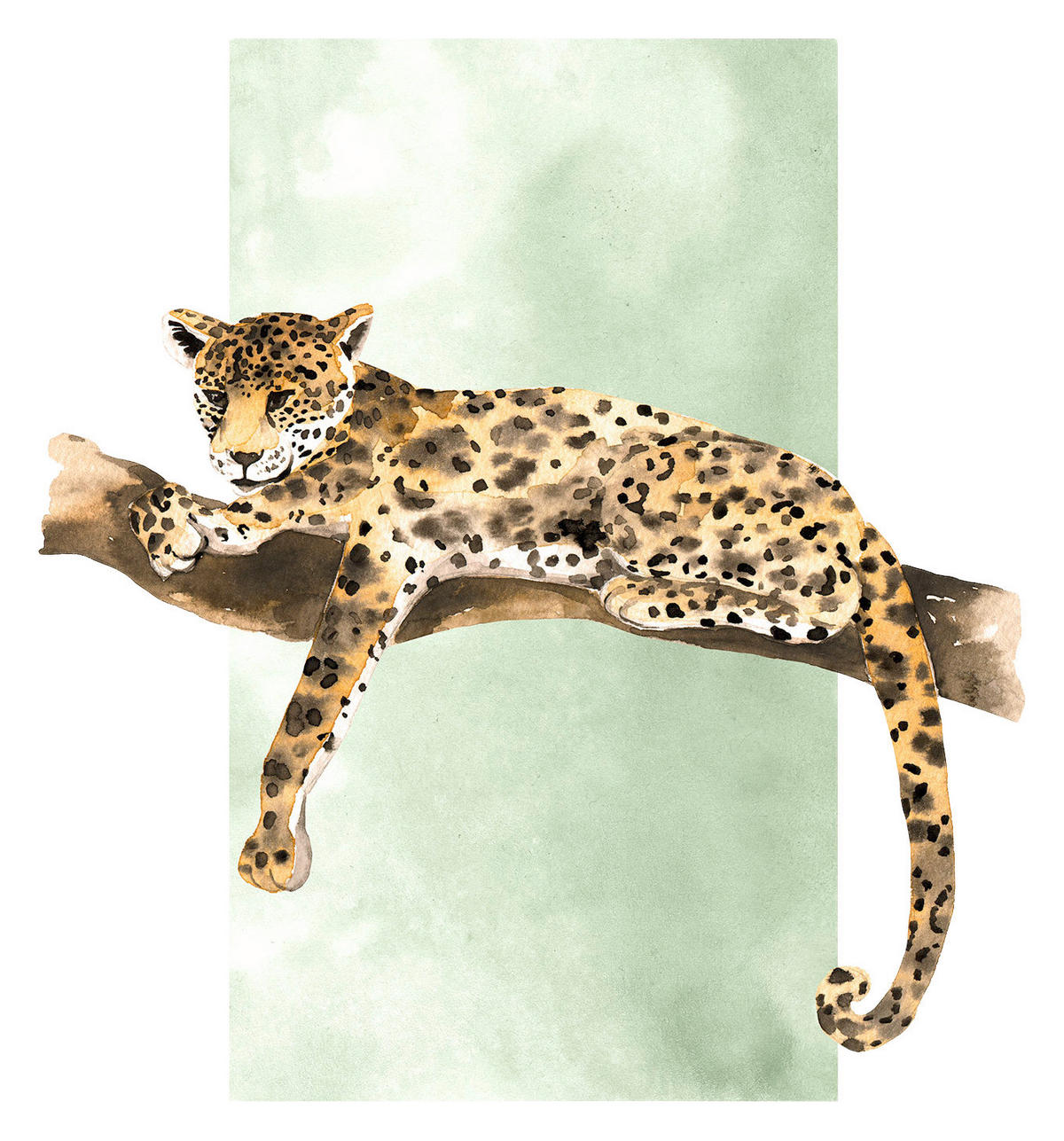 Komar Poster Lazy Leopard Leopard B/L: ca. 30x40 cm Lazy Leopard - (30,00/40,00cm) - Komar