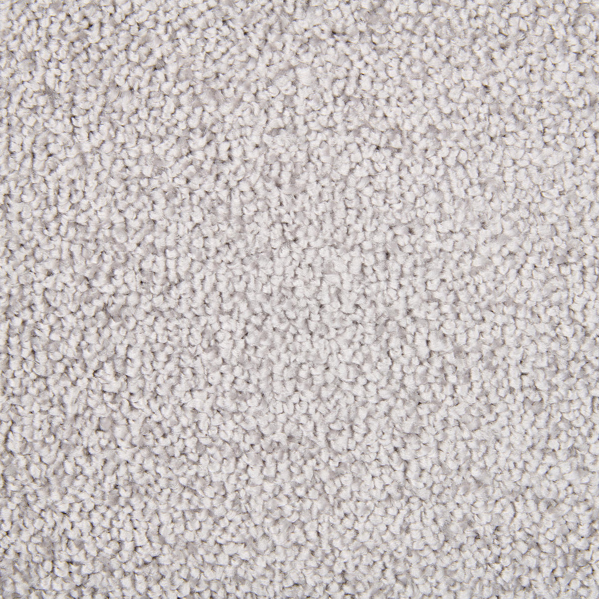 Teppichboden Olvera grau B: ca. 400 cm pro m² Olvera - grau (400,00cm)