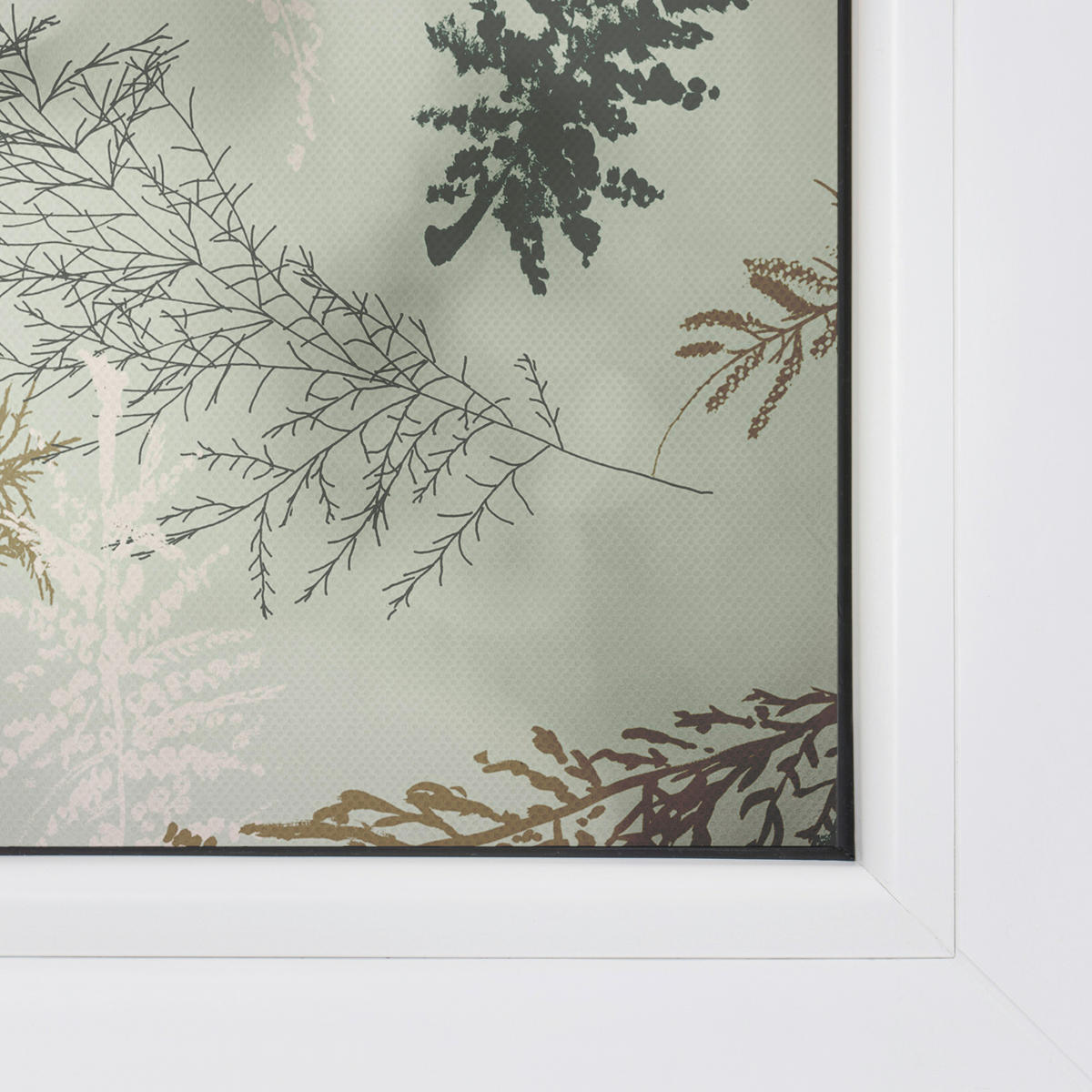 LICHTBLICK Fensterfolie Fir branches Natur Fir branches grün B/L: ca. 100x180 cm Fir branches - grün (100,00/180,00cm) - LICHTBLICK