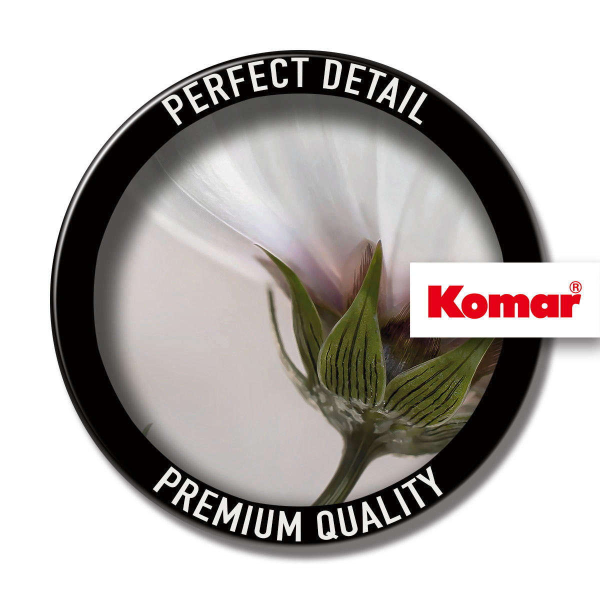 Komar Fototapete Into the Light B/L: ca. 300x250 cm Into the Light - (300,00/250,00cm) - Komar