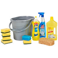Putzeimer mit Inhalt Putzeimer_ca.13l_gefüllt_5tlg.