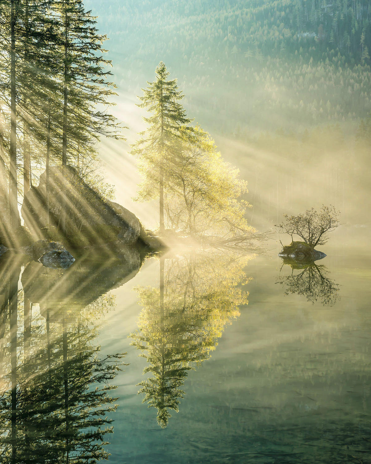 Komar Fototapete Indulgence of Beauty B/L: ca. 200x250 cm Indulgence of Beauty - (200,00/250,00cm) - Komar