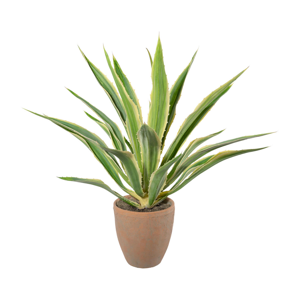 Kunstpflanze Agave grün Kunststoff B/H/L: ca. 24x86x24 cm Agave - grün (24,00/24,00/86,00cm)