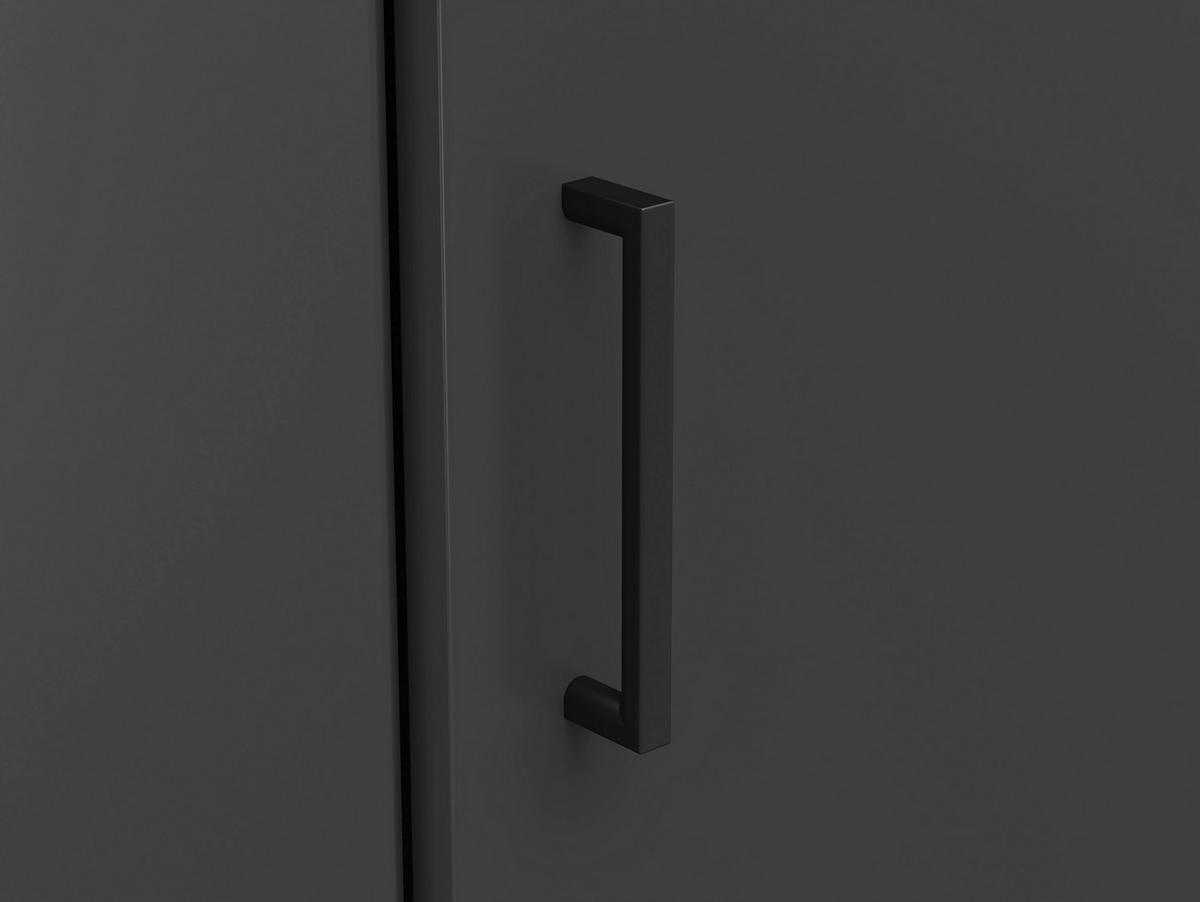Schrank Multi-Stauraum Typ 43 anthrazit B/H/T: ca. 101x195x79 cm Multi-Stauraum Typ 43 - anthrazit (101,00/195,00/79,00cm)