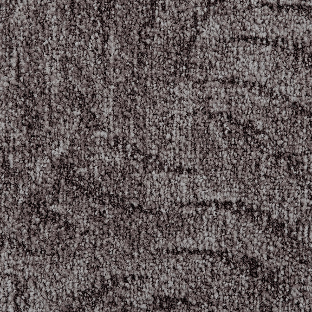 Teppichboden MILANO anthrazit B: ca. 200 cm pro m² MILANO - anthrazit (200,00cm)