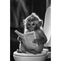 Keilrahmenbild Tiere B/H: ca. 90x60 cm Keilrahmenbild 60x90cm - (90,00/60,00cm)