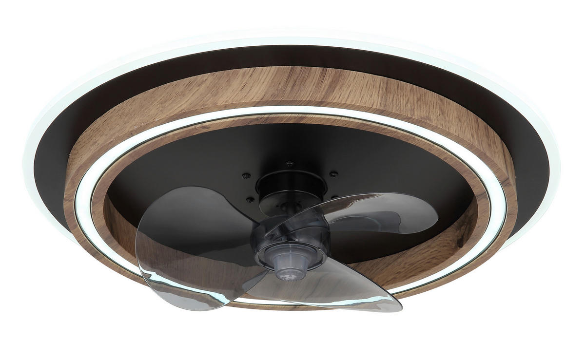 GLOBO Deckenventilator Opal schwarz dunkelbraun H/D: ca. 13,5x50 cm max. 32 W BOZAN - dunkelbraun/schwarz (50,00/13,50cm) - GLOBO