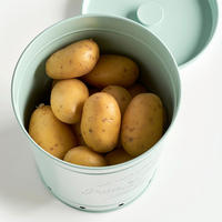 Zeller Vorratsdose Kartoffel mint B/H/L: ca. 19,5x21,5x16,5 cm Kartoffel - mint (16,50/19,50/21,50cm) - Zeller