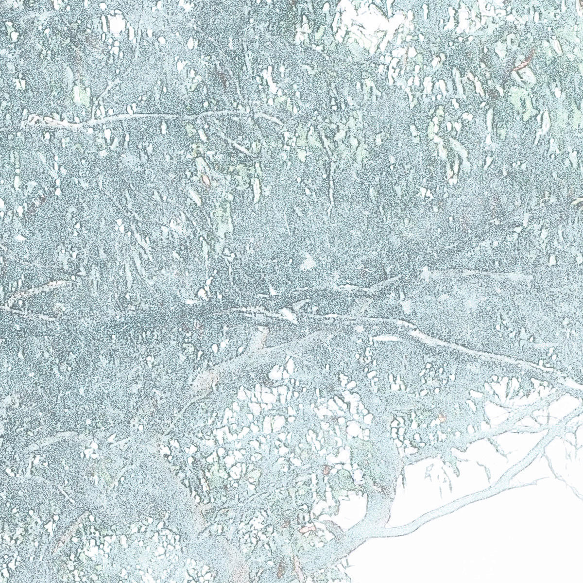Komar Fototapete Magic Trees B/L: ca. 300x280 cm Magic Trees - (300,00/280,00cm) - Komar