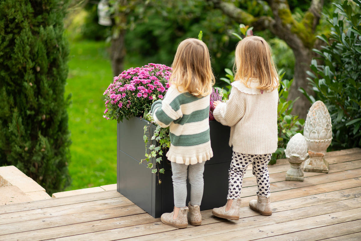 Westmann Pflanzkasten Talus anthrazit Metall B/H/L: ca. 50x50x50 cm Talus - anthrazit (50,00/50,00/50,00cm) - Westmann