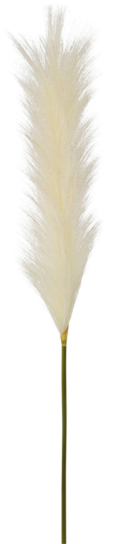 Kunstpflanze creme Kunststoff H: ca. 115 cm Pampasgras - creme (115,00cm)