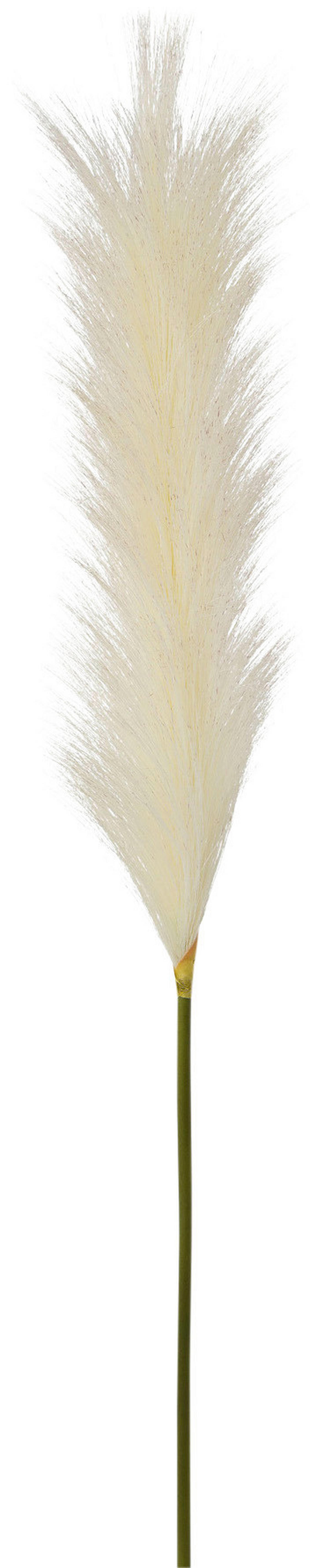 Kunstpflanze creme Kunststoff H: ca. 115 cm Pampasgras - creme (115,00cm)