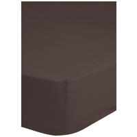 Baumwoll Spannbetttuch Satin Spannbetttuch-Satin 100x200cm - braun (100,00/200,00cm) - HIP