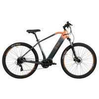 TOTEM E-Bike FJ-M FJ-M 29 Zoll Rahmenhöhe 46 cm 8 Gänge grau grau ca. 250 W ca. 29 Zoll FJ-M - grau - TOTEM