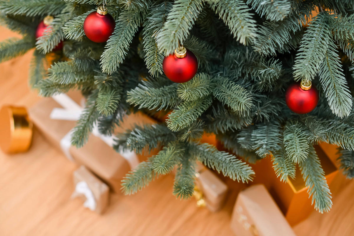 Evergreen Weihnachtsbaum Vermont Fichte Vermont Fichte - grün (160,00/160,00/240,00cm) - Evergreen